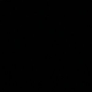 Meet your Posher, Bryce